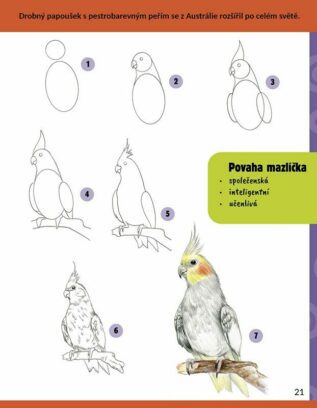 Ukázka