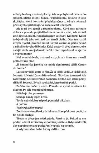 Ukázka
