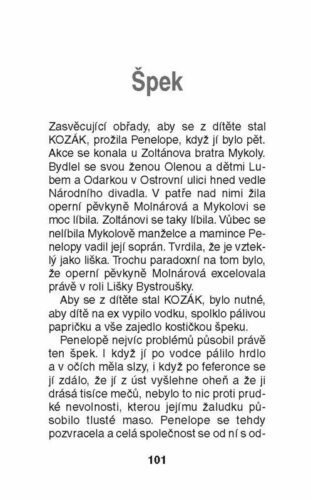 Ukázka