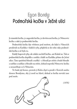 Ukázka