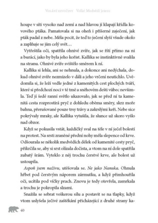 Ukázka