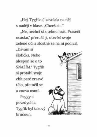 Ukázka