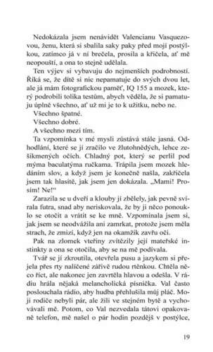 Ukázka