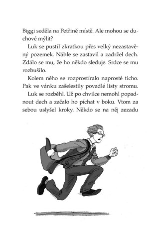 Ukázka