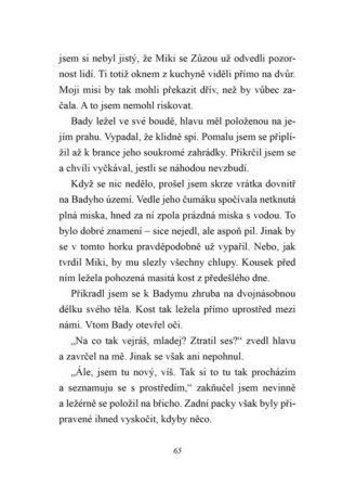 Ukázka