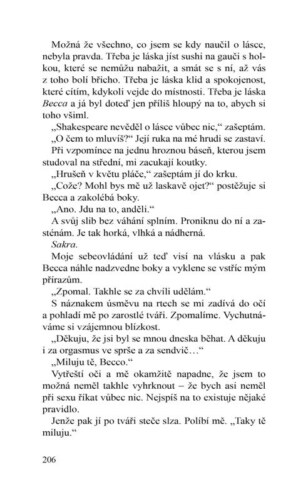 Ukázka