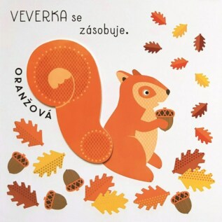 Ukázka