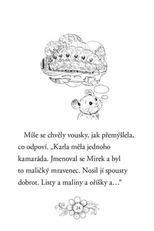 Ukázka