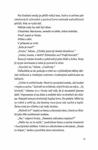 Ukázka