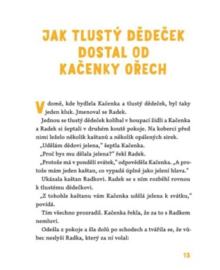 Ukázka