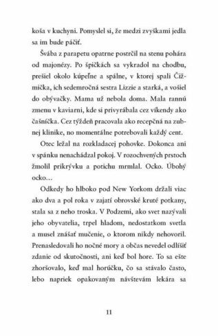 Ukázka