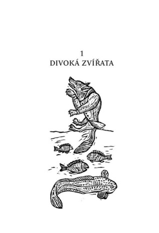 Ukázka
