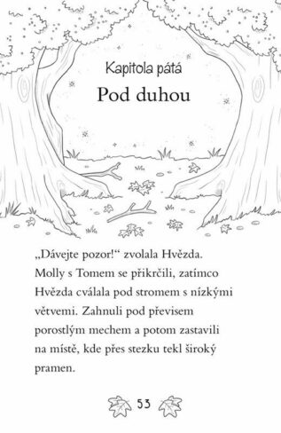 Ukázka