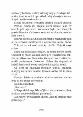 Ukázka