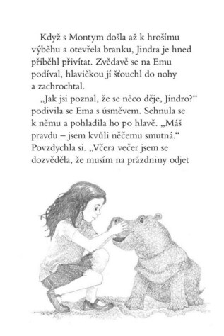 Ukázka