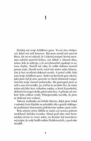 Ukázka