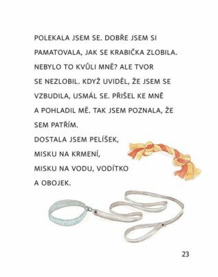 Ukázka