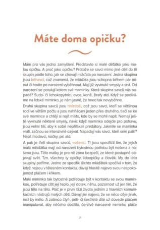 Ukázka