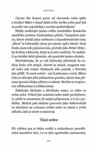 Ukázka