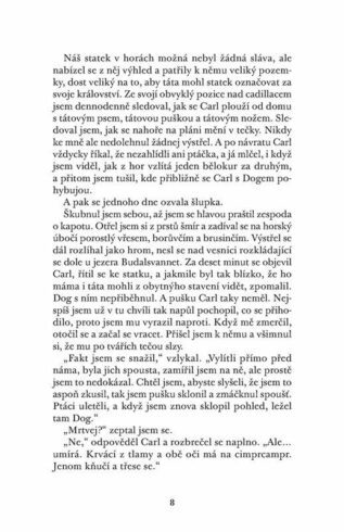 Ukázka