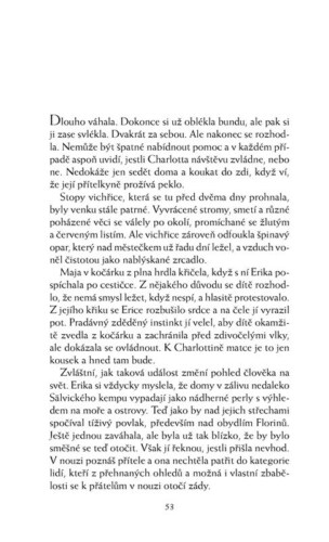 Ukázka