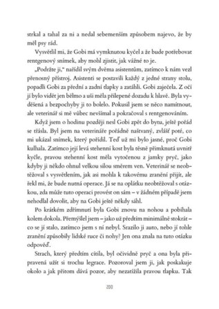 Ukázka