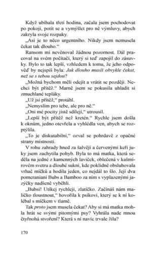 Ukázka