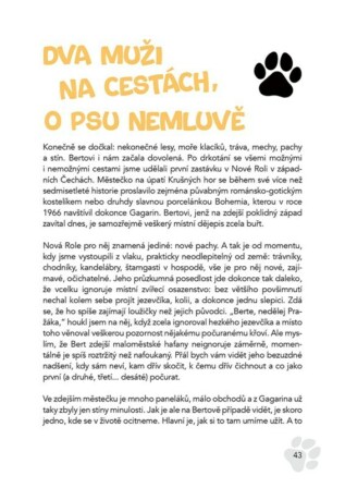 Ukázka