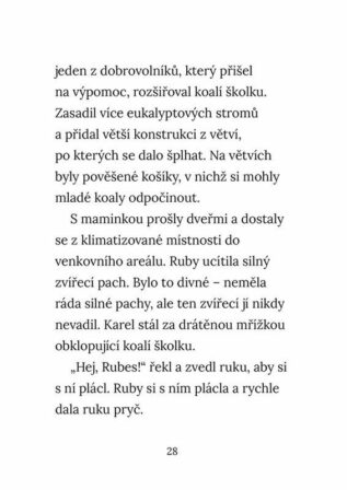 Ukázka