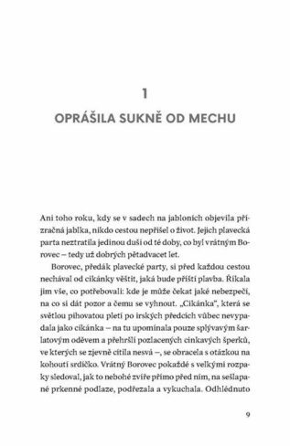 Ukázka
