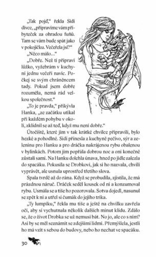 Ukázka