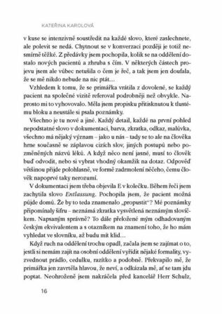 Ukázka