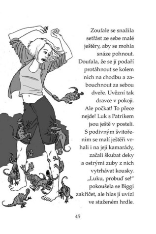 Ukázka