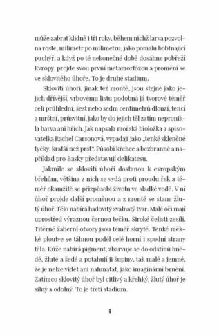 Ukázka