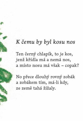 Ukázka