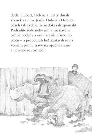 Ukázka