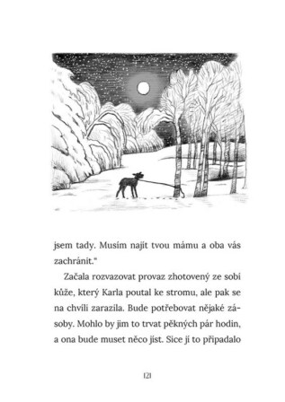 Ukázka
