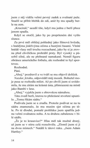 Ukázka