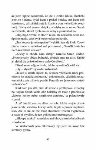 Ukázka