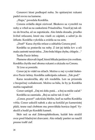 Ukázka