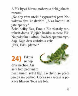 Ukázka