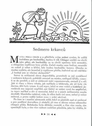 Ukázka