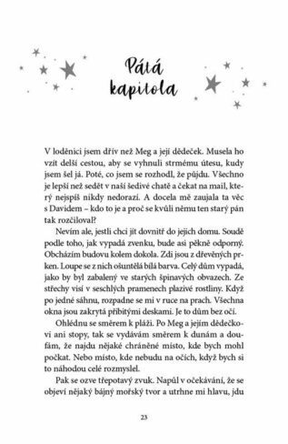 Ukázka