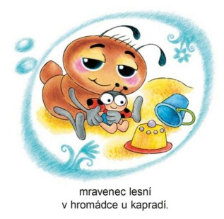 Ukázka