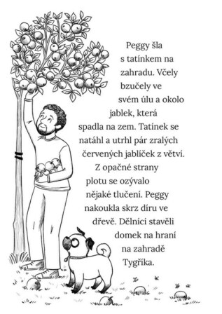 Ukázka