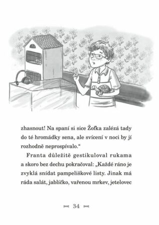 Ukázka
