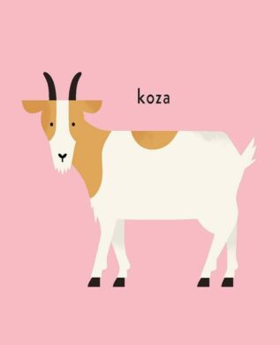 Ukázka