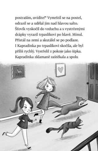 Ukázka