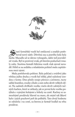 Ukázka