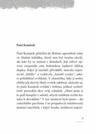 Ukázka